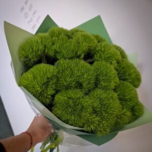 Gvazdikų puokštė „Barbie green“