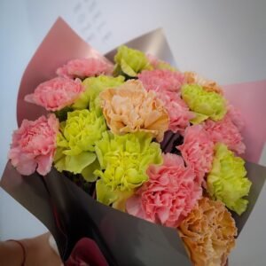 Įvairių gvazdikų puokštė